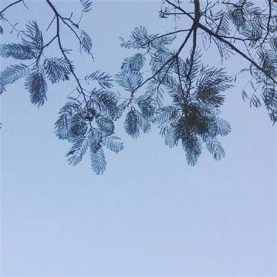 雄才三国最新版下载